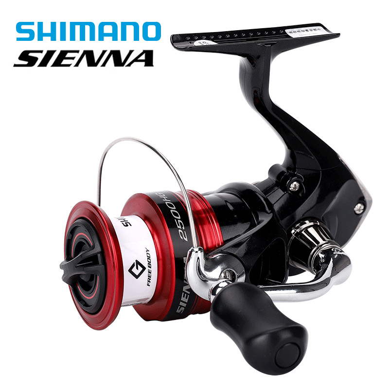 Daiwa Reel Bg - Mulinello da pesca spinning SHIMANO SIENNA